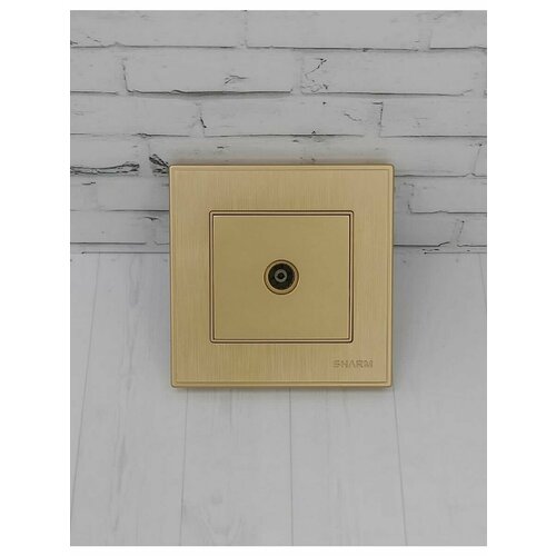 Розетка с TV разъемом шампань 473