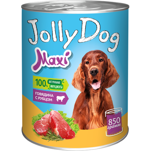 Корм консервированный для собак Зоогурман Jolly Dog Говядина с рубцом, 850г корм для собак зоогурман jolly dog индейка с уткой банка 350г