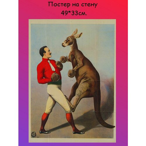 Постер, плакат на стену Кенгуру Боксер 49х33 см (А3+)