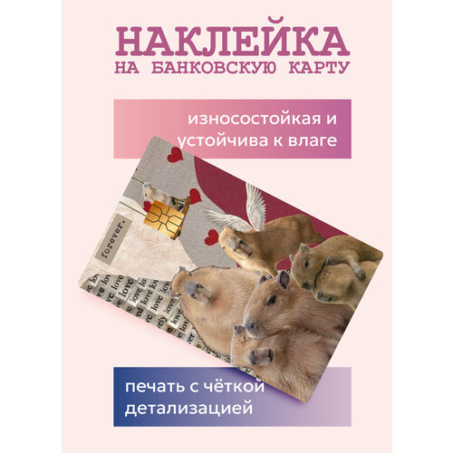 Наклейки на банковскую карту грызуны морские свинки
