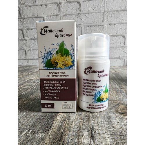 Крем для лица Нет чёрным точкам Источник Красоты