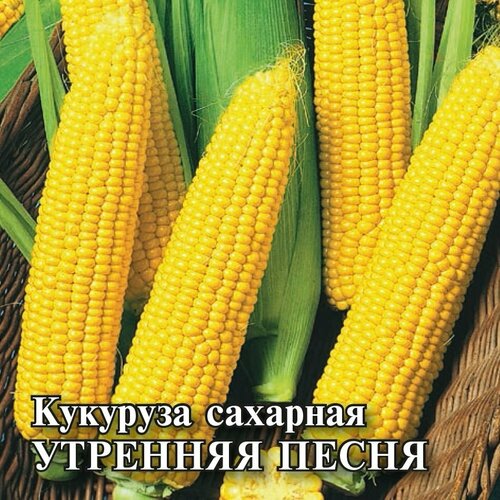 Семена Кукуруза сахарная Утренняя песня, 100г, Гавриш, Фермерское подворье, 5 пакетиков