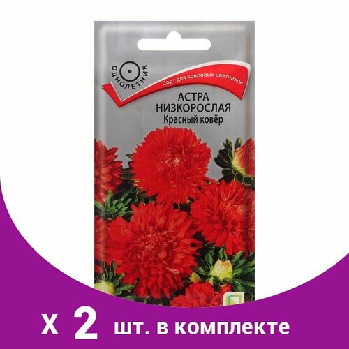 семена цветов тимирязевский питомник астра низкорослая ковер голубой 0 2 г Семена цветов Астра низкорослая 'Красный ковер', 0,2 г (2 шт)