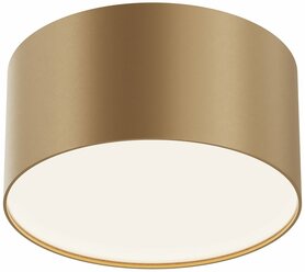 Потолочный светильник Maytoni C032CL-12W4K-RD-MG