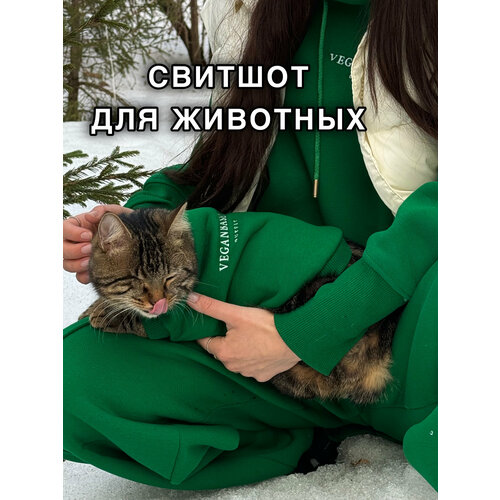 Свитшот для самых маленьких котят и щенят VEGANBASED Зеленый/XS (Длина спинки 20см)