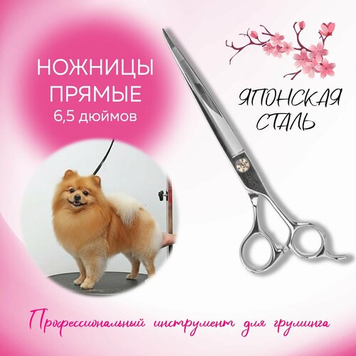 Ножницы прямые для груминга 6,5 дюймов