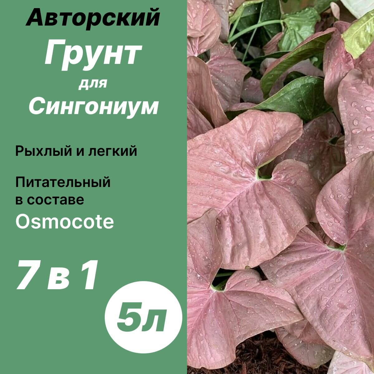 Грунт для Сингониума 5л / Дом фиалок