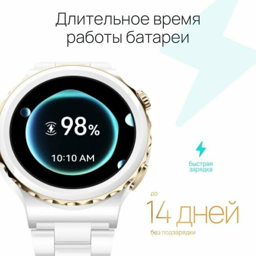 Часы Huawei Watch GT 3 Pro Frigga-B19V 3227100₽