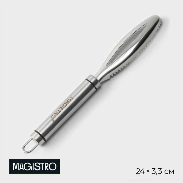 Рыбочистка Magistro Solid, нержавеющая сталь, цвет хромированный (арт. 9791358)