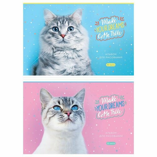 Альбом для рисования 32л, А4, на скрепке ArtSpace Питомцы. Funny cats (10 шт) альбом для рисования 24л а4 на скрепке artspace funny lama