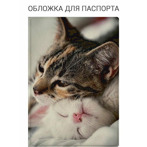 фото Обложка для паспорта slvgo, желтый, бежевый, черный, белый