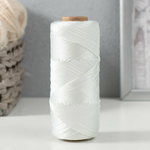 Нить полиамидная крученая 187х1х2 250 м 398₽