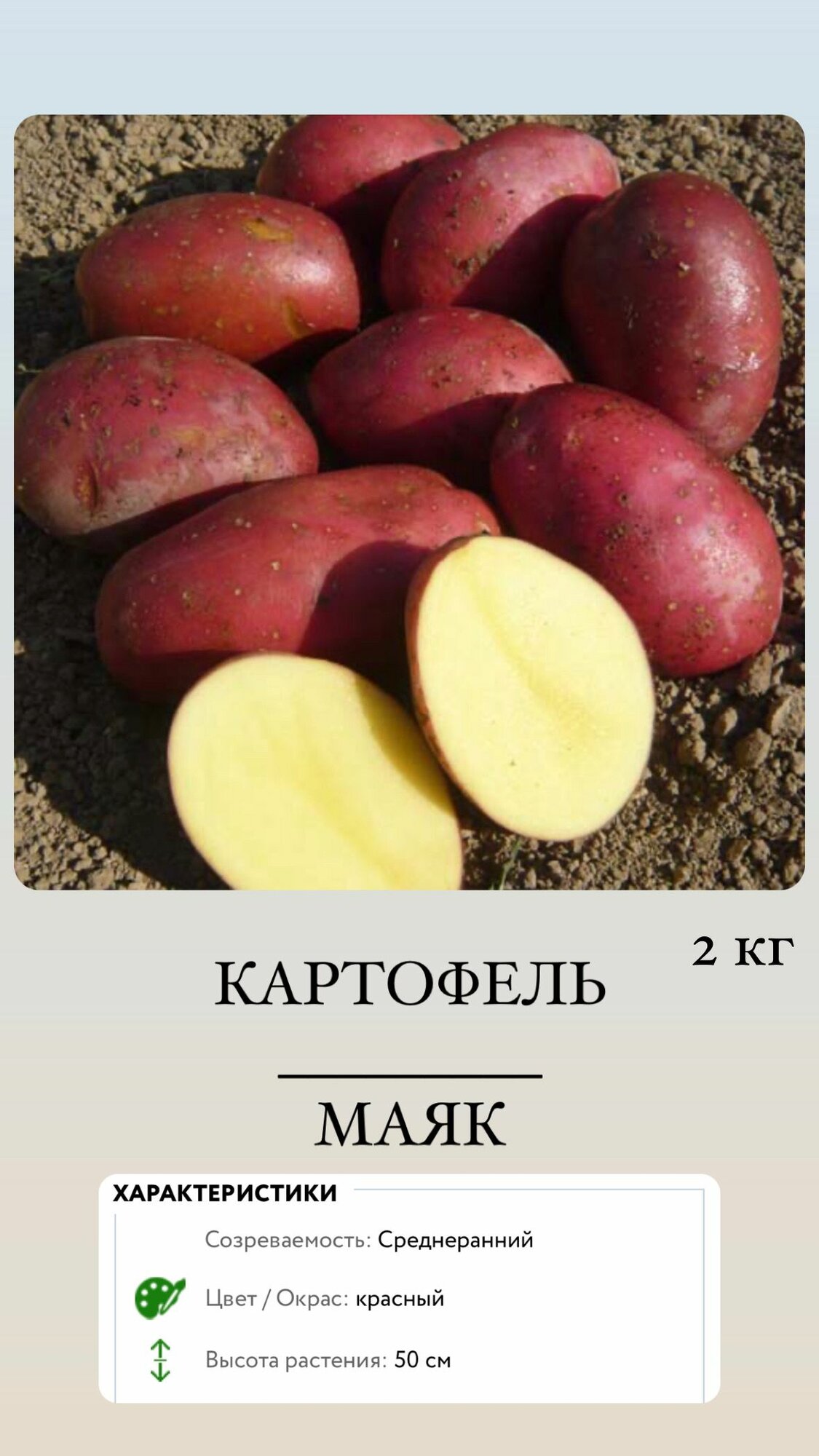 История создания сорта