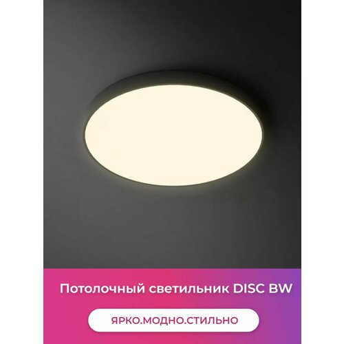 Потолочный светильник DISC BW D 40 24447₽