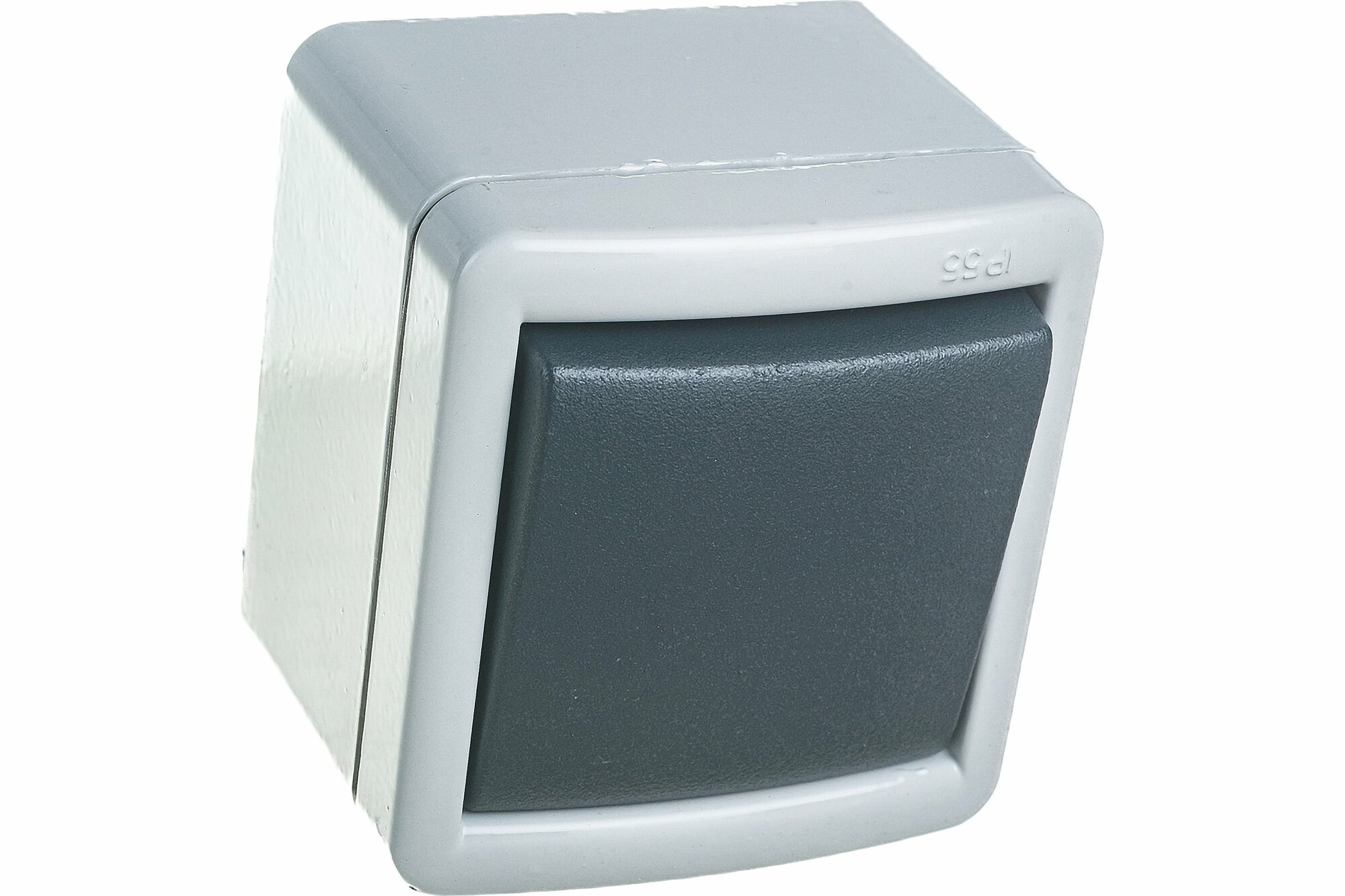 фото Выключатель Aling-conel 281.1A одноклавишный открытая установка серый IP55 металлический