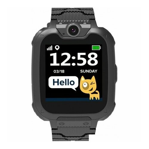 Умные часы Canyon Tony KW-31 черный 290000₽