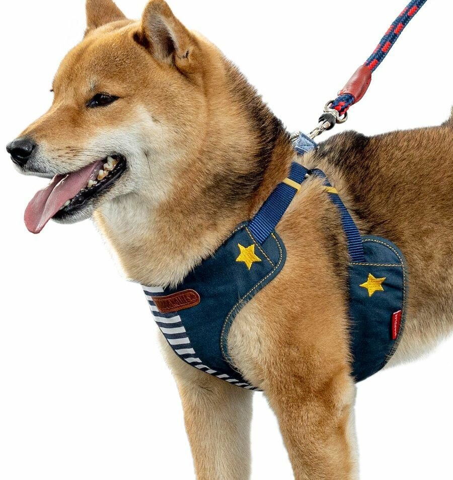 Шлейка для собак мелких пород Japan Premium Pet "Английский стиляга", цвет NAVY с синим, S