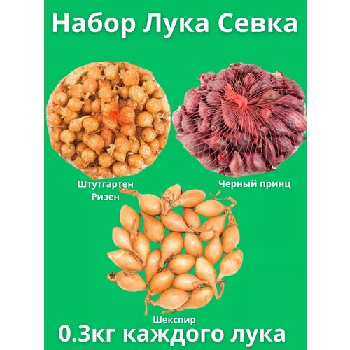 Набор Лук Севок 0.3 кг