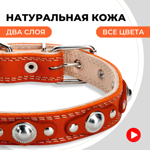 Ошейник кожаный для собак мелких и средних пород, двухслойный