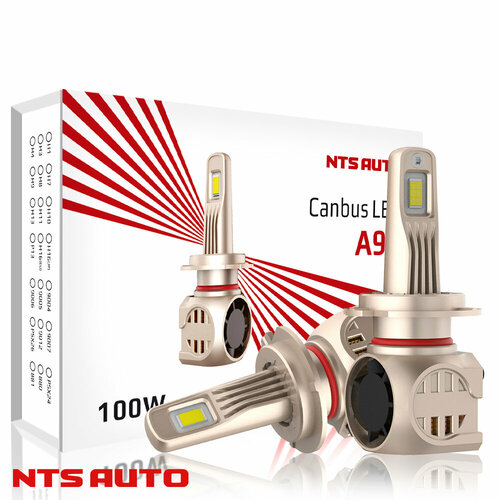 Светодиодные лампы A95 4300K H7 с обманкой