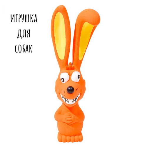 Игрушки для собак/Игрушка пищалка для собак/ Пёс пищалкой, 18х5х6 см, оранжевый