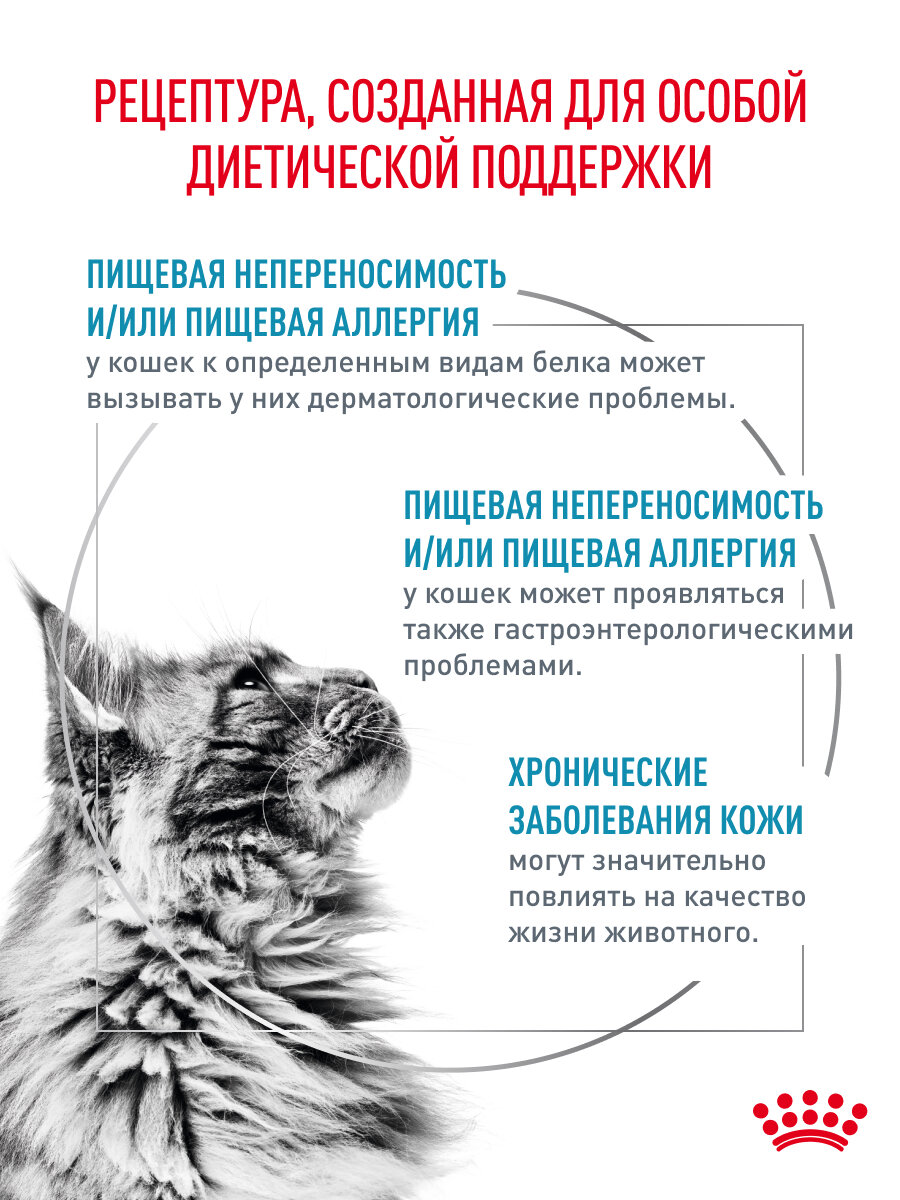 Сухой корм для кошек Royal Canin Hypoallergenic при пищевой аллергии, 0,5 кг — фото 1