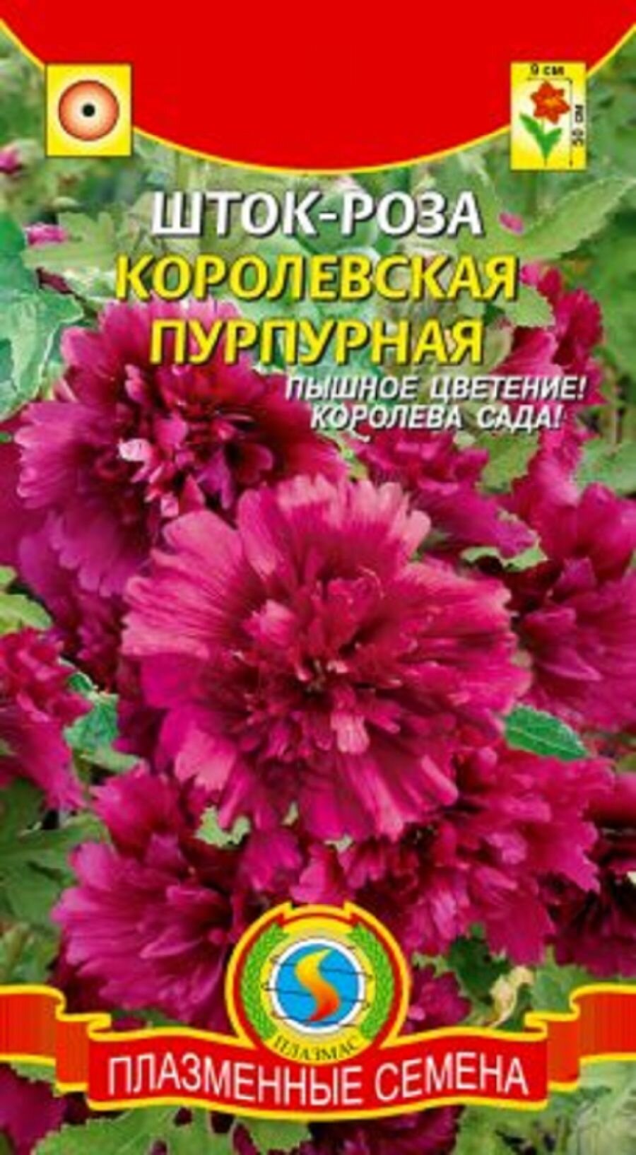 Шток-роза Королевская Пурпурная / Плазменные семена