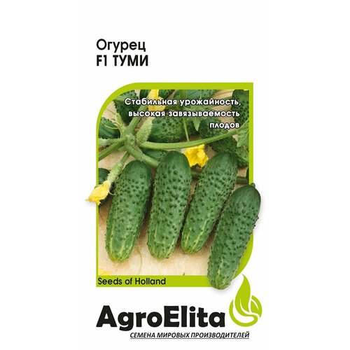 Семена Огурец Туми F1, 5шт, AgroElita, Enza Zaden семена огурец седрик f1 5шт agroelita enza zaden 3 упаковки