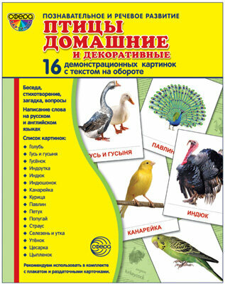 Птицы домашние и декоративные. 16 демонстрационных картинок - фото №4