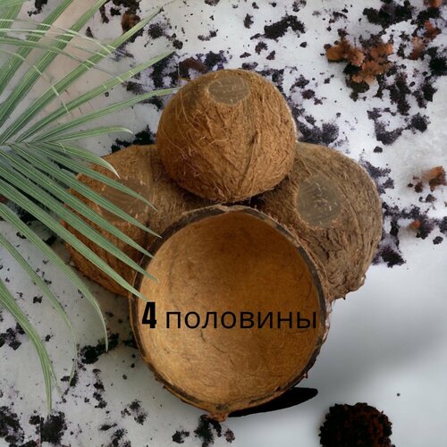 Скорлупа кокоса игнатушин алексей железная скорлупа