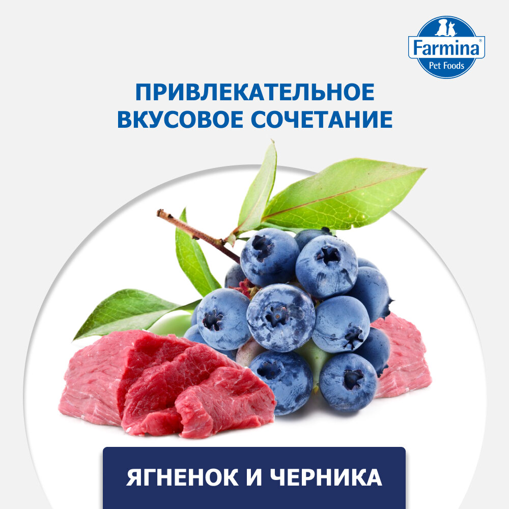 Изображение Сухой корм Farmina N&D Dog Lamb&Blueberry Adult Mini для взрослых собак мелких пород Ягненок и черника, 800 г.
