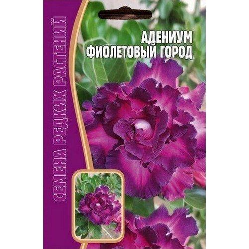 Адениум Фиолетовый город 3 шт * 2 упаковки редкие семена редкие растения адениум черное болото 3 семян в упаковке