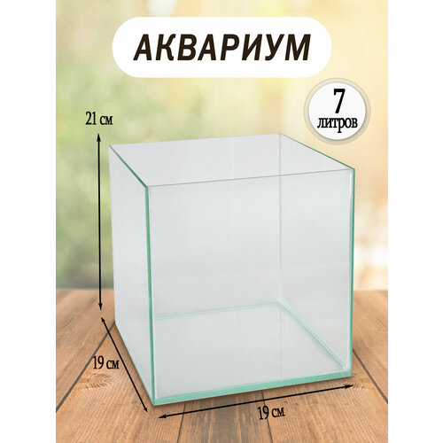Аквариум куб 7 литров аквариум для креветок креветкарий 6 литров