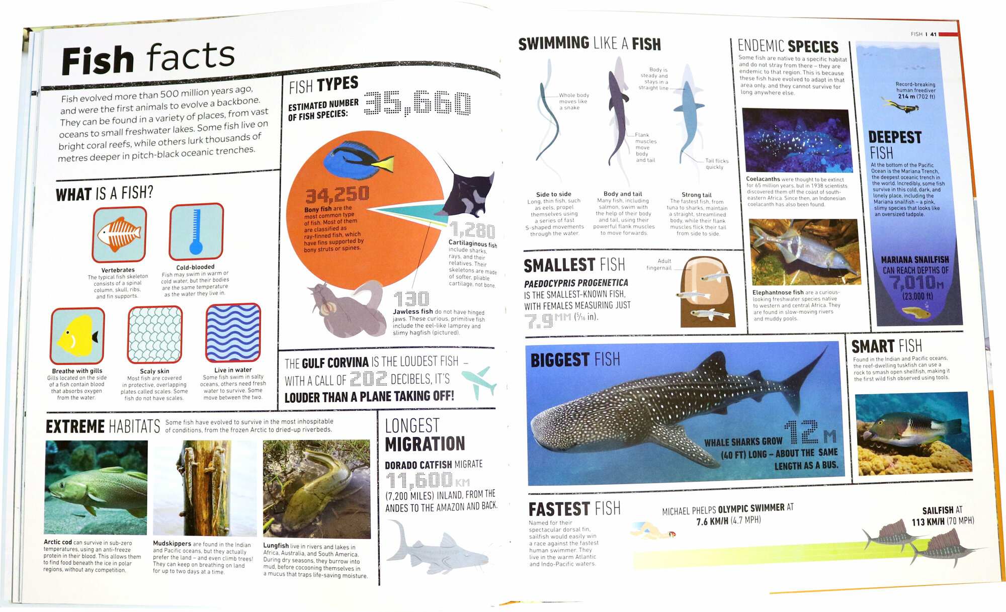 What's Where on Earth? Animal Atlas - фото №2