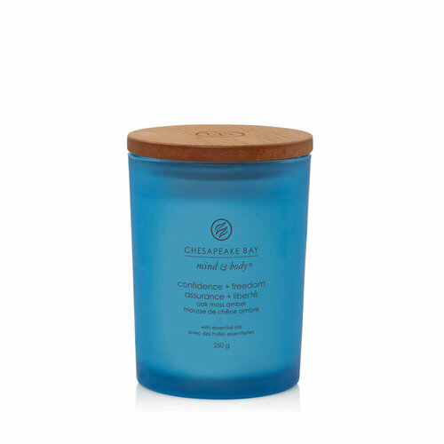 Chesapeake Bay Candle / Свеча средняя Уверенность и свобода (амбра и дубовый мох) 250 гр.