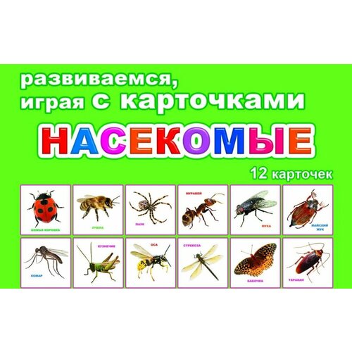Карточки насекомые: 12 шт. в комплекте. Развивающие карточки для детей дошкольного и младшего школьного возраста, Леда-Алфея