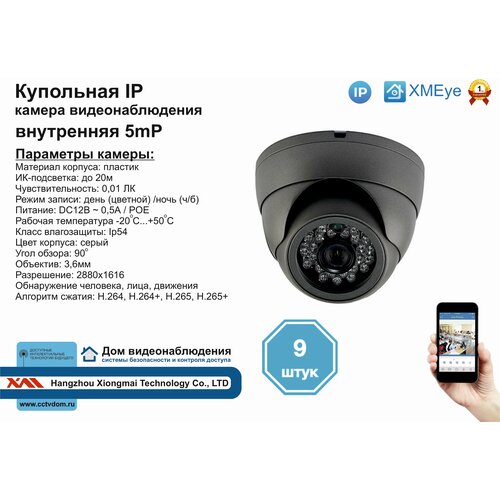 9шт DVS300IP5MPPOE Внутренняя IP камера 5мП с ИК до 20м 2950000₽