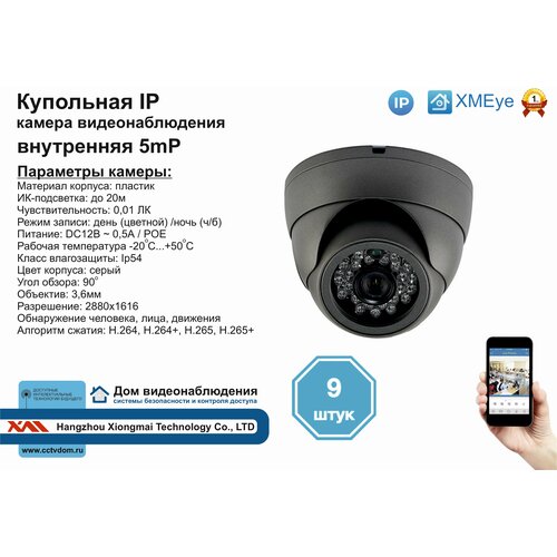 9шт DVS300IP5MP(POE) Внутренняя IP камера 5мП с ИК до 20м