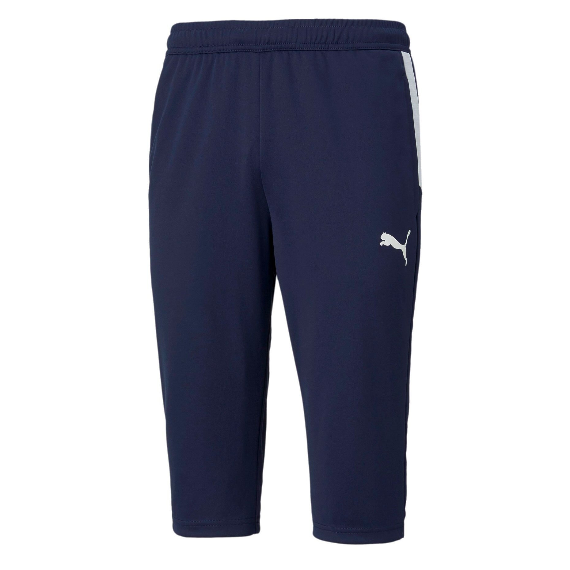 Брюки спортивные PUMA teamLIGA Training 3/4 Pants