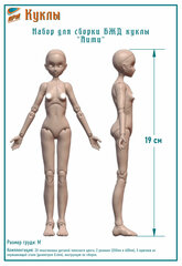 Набор для сборки тела БЖД куклы "Аими", серия "Аими", размер груди M, высота 19 см