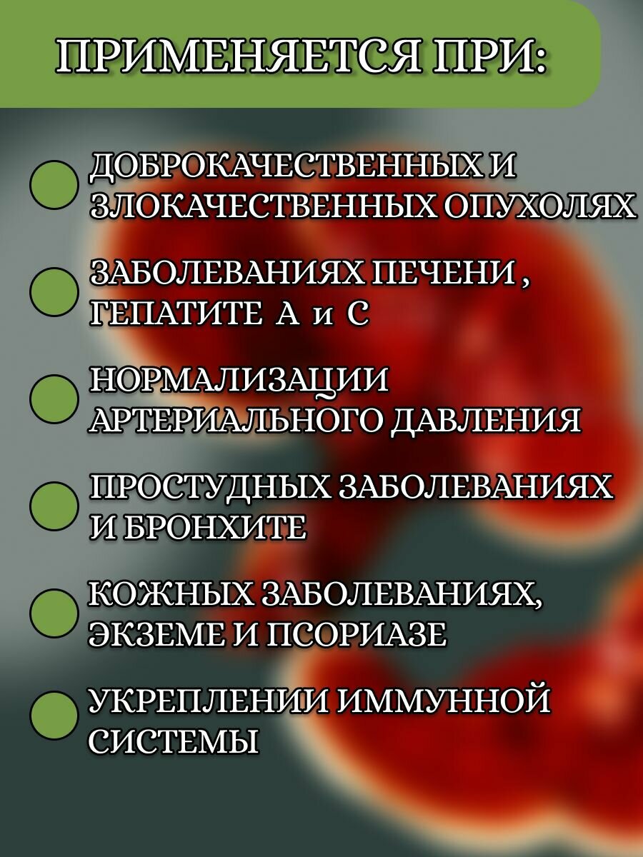 Картинки Настойка гриб рейши "Благодея-Алтай" 100 мл, пластиковая бутылка