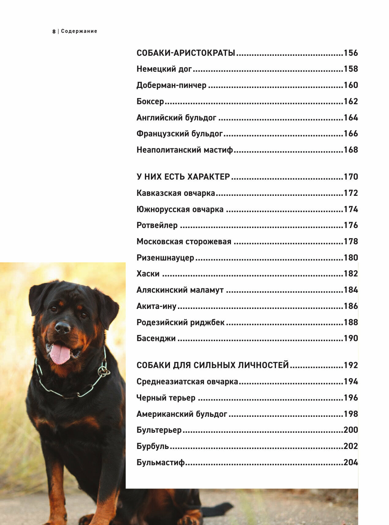Все породы собак. Большая иллюстрированная энциклопедия - фото №20