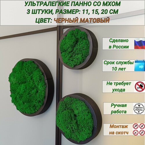 Круглые декоративное панно на стену со стабилизированным мхом, декор для дома, 3 штуки, черные