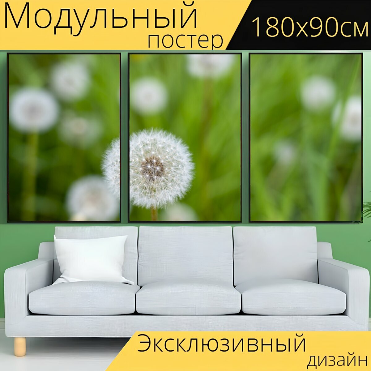 Модульный постер "Одуванчик, одуванчики, цветок" 180 x 90 см. для интерьера