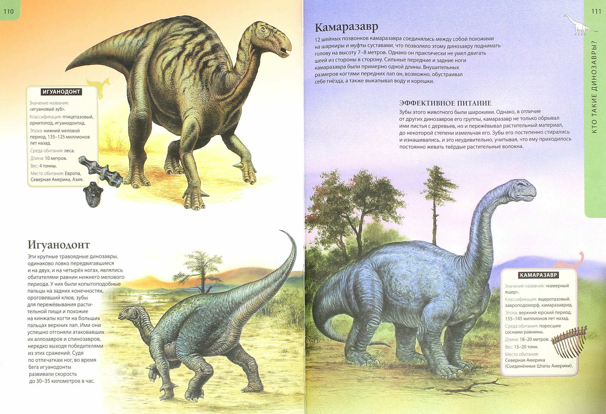 Детская энциклопедия динозавров - фото №13