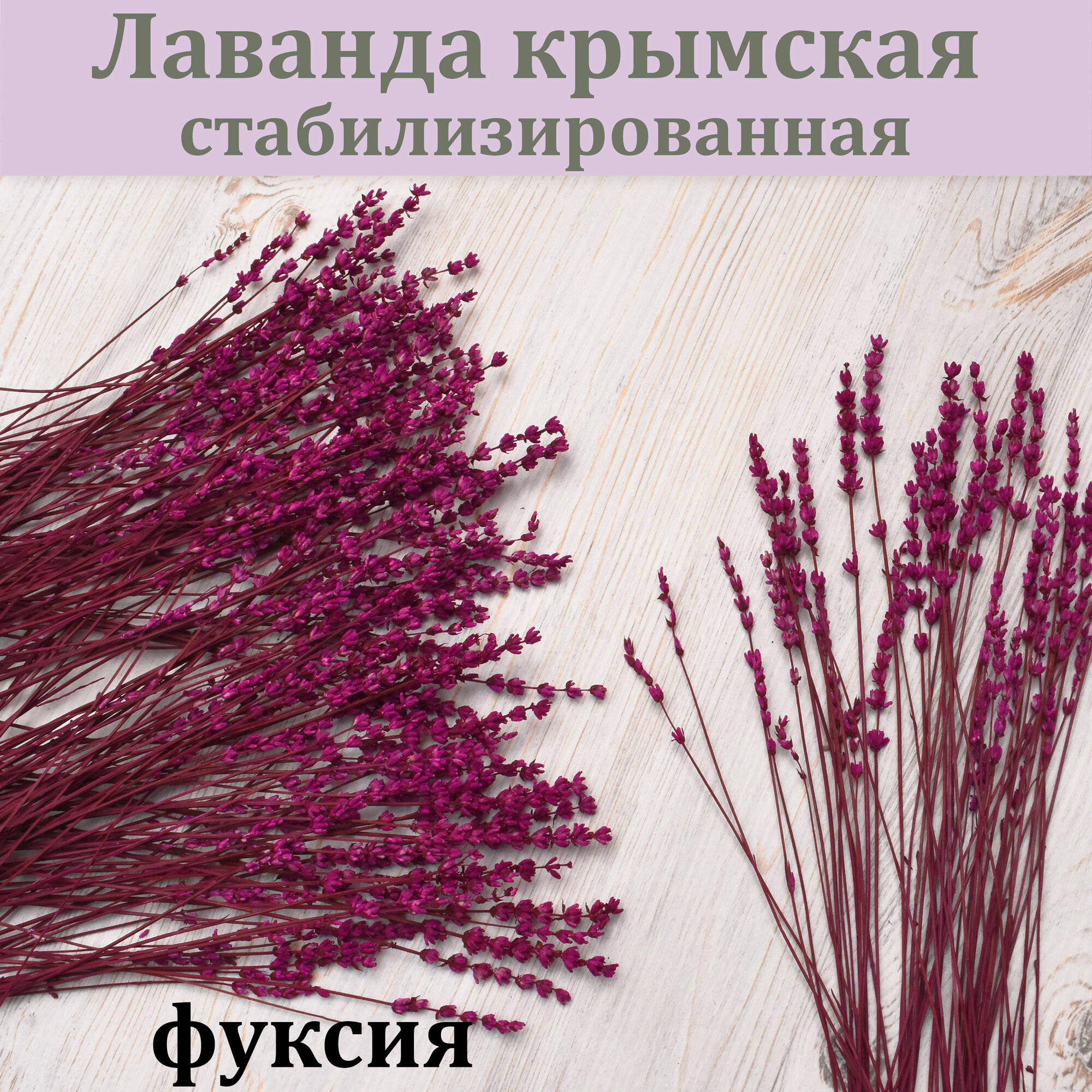 Лаванда крымская Фуксия стабилизированная 30 см. / Букет из лаванды