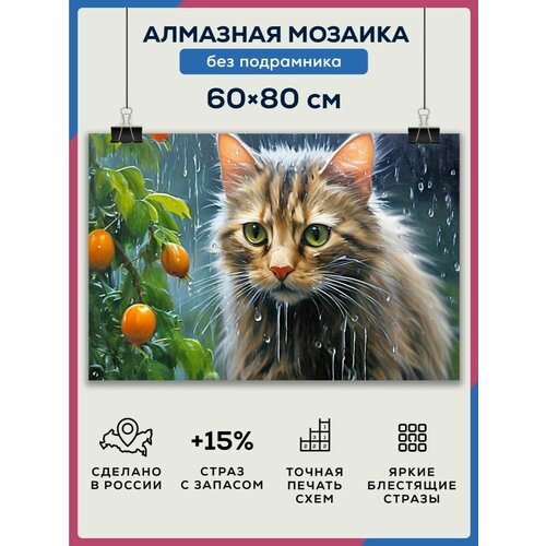 Алмазная мозаика 60x80 Кот под дождем без подрамника