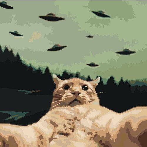 картина по номерам кошка делает селфи на стену Картина по номерам Мем: кот делает селфи, НЛО 40x40