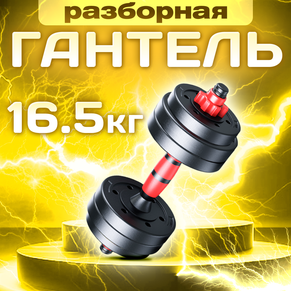 Гантель титан разборная для фитнеса 1 шт. по 16.5 кг