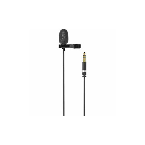 Микрофон Ritmix RCM-110 Black черный